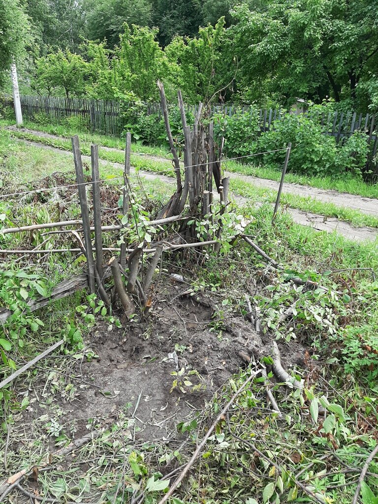 Изображение принадлежит каналу