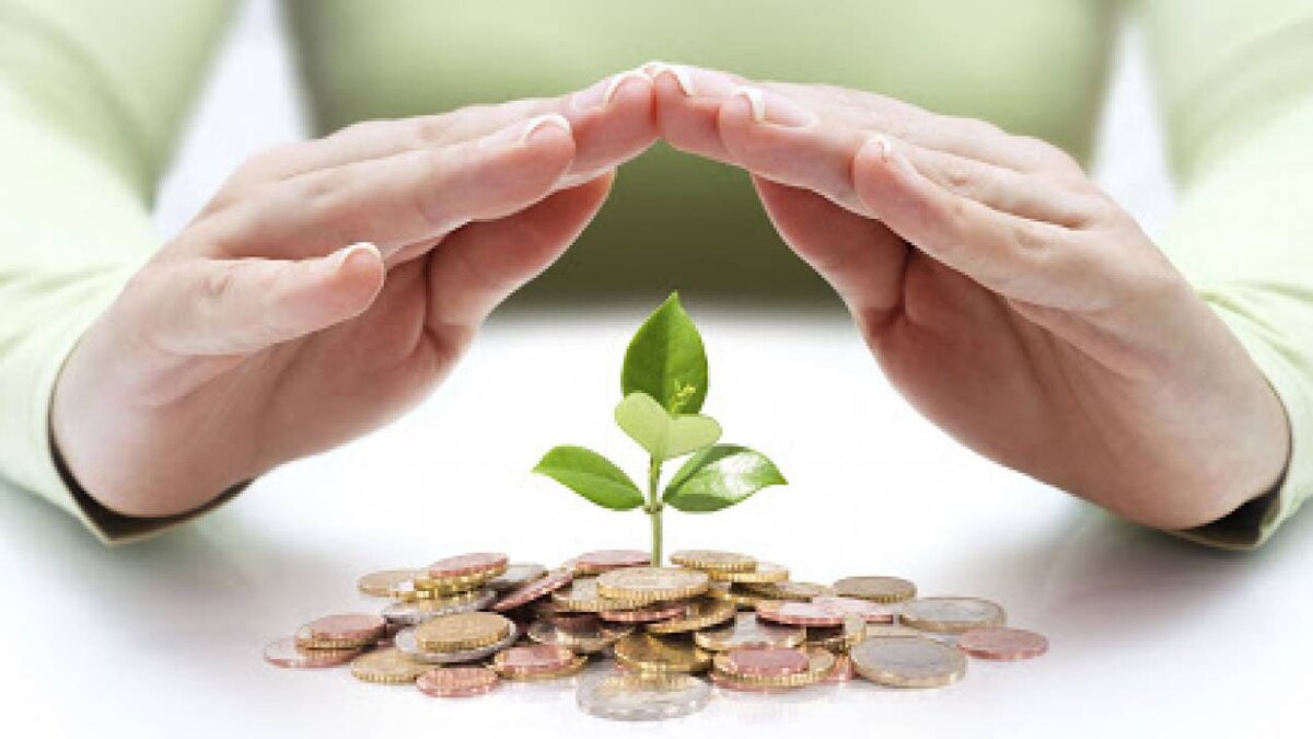 Фото из свободных источников в интернете.