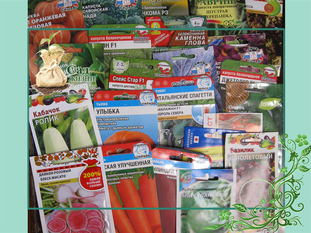 Какие семена нужно покупать каждый год свежие