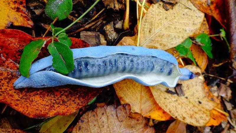 Теперь понимаете, почему такие названия? Фото: из открытых Интернет-источников