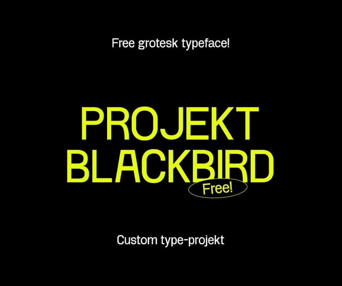 https://shriftkrasivo.ru/project-blackbird/