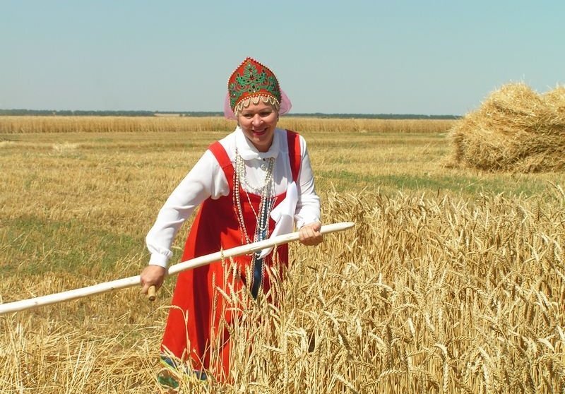 Начало жатвы в старину называли зажинки заверши рисунок окружающий