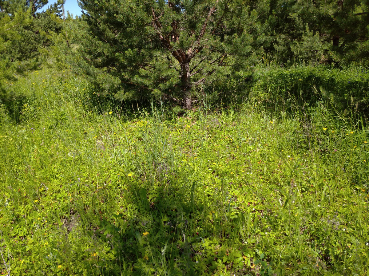 красивая природа