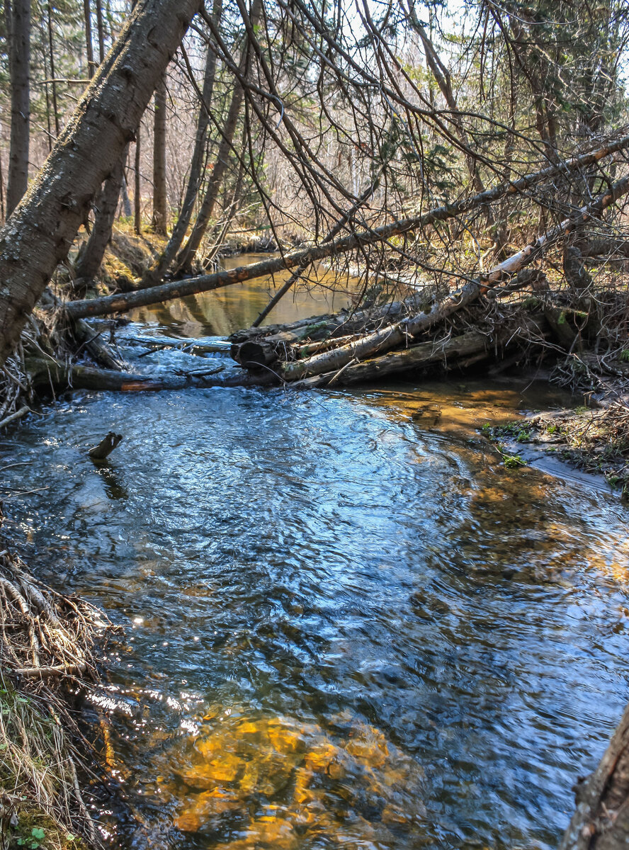 Река Куштумга.