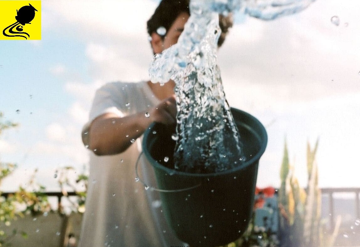 зодиакальный гороскоп знак зодиака водолей как вернуть