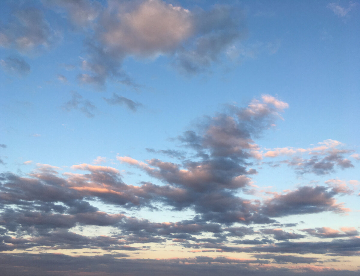 В этом году какое-то невероятное небо...
