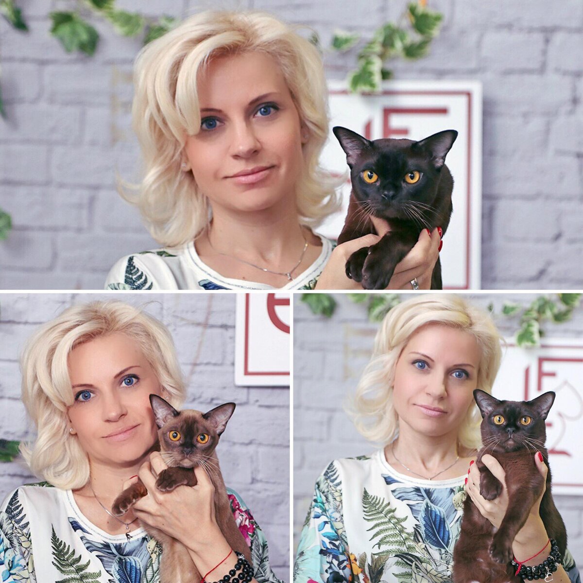 Наталия Сиенко и Jasper Burmese cats
