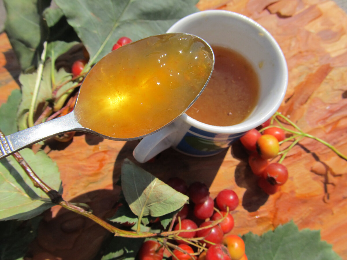 Живое желе из боярышника