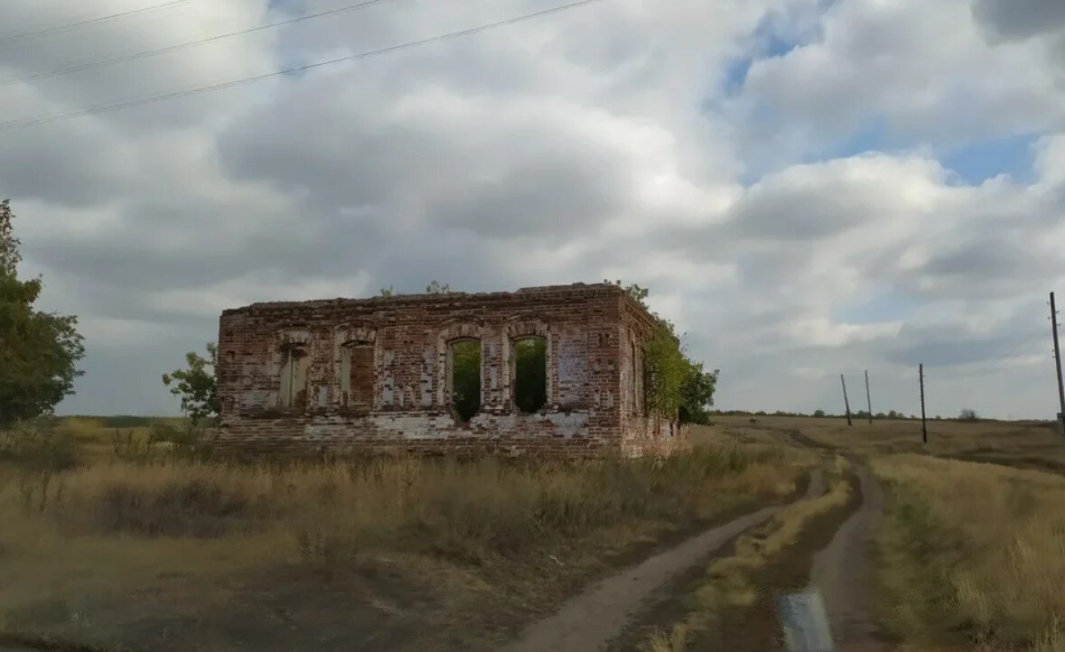 Бешенство у кошек - симптомы и признаки