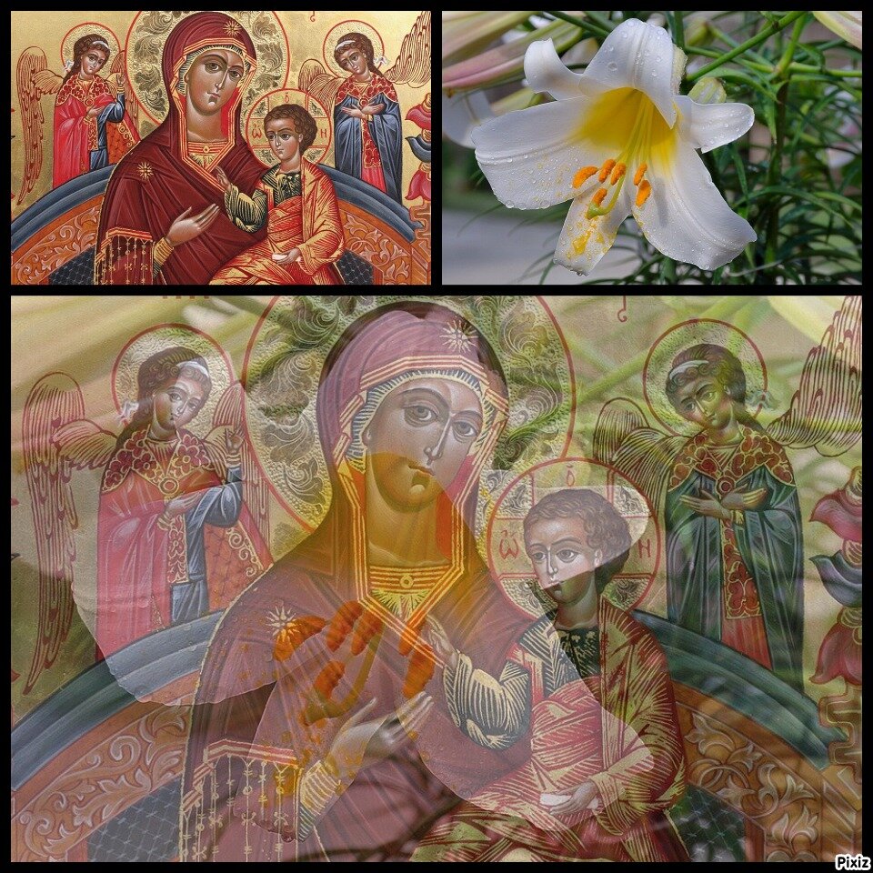 фото коллаж автора