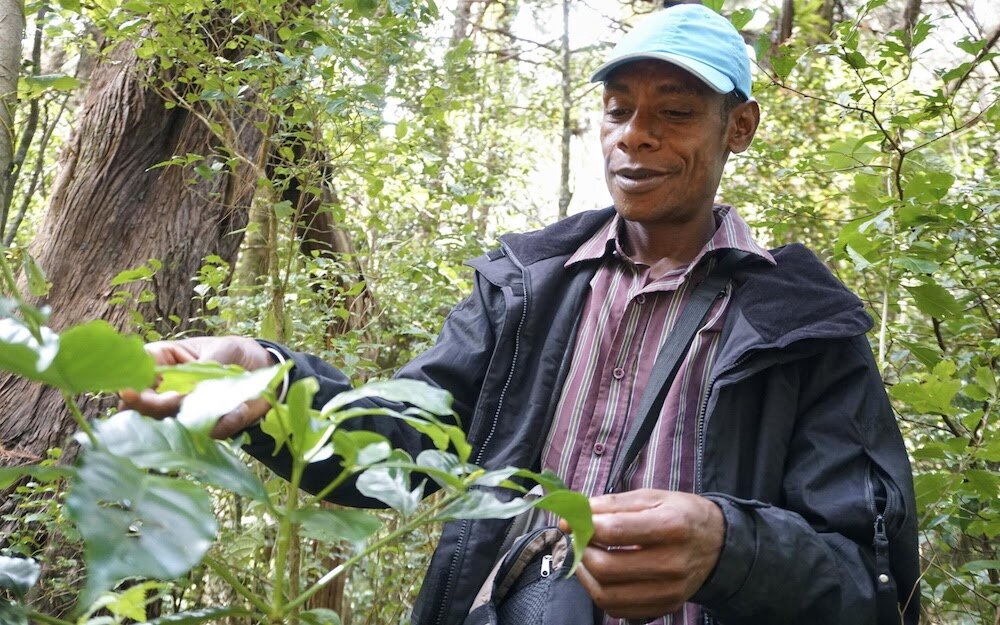 Фото © Nicole Motteux