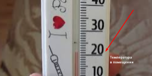 Комфортная температура для растений. Скрин фото автора