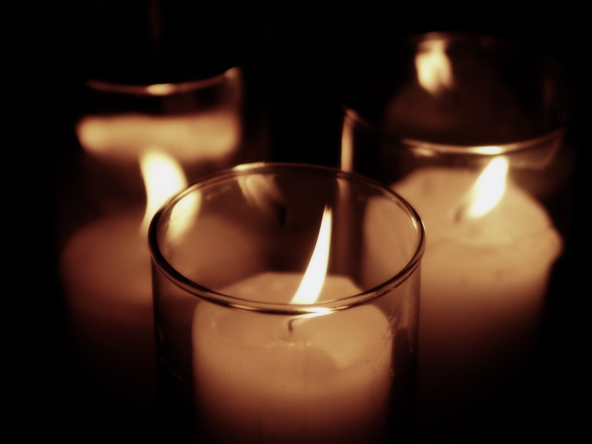 Фото с источника: https://www.freeimages.com/ru