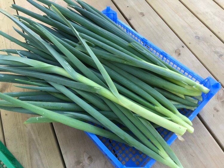 фото взято из яндекс картинки