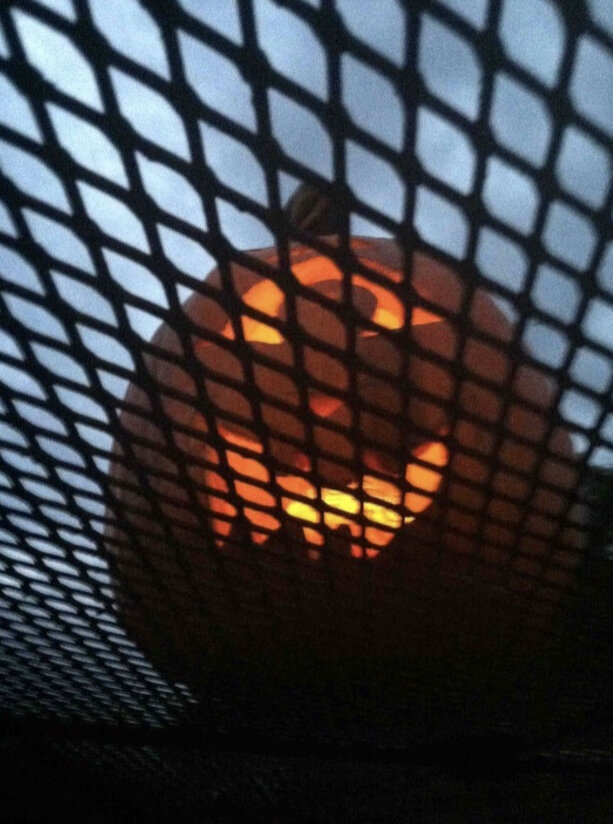 Это, между прочим, тыква, вырезанная мной и Лехой… одна из тех, про которых муж забыл 