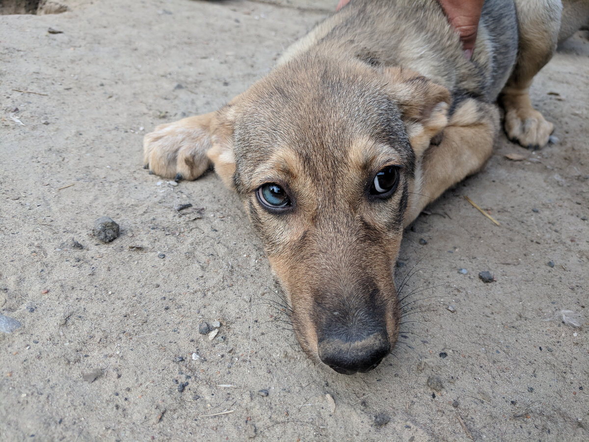 И как можно бросить эти глаза? Не понимаю я таких людей...