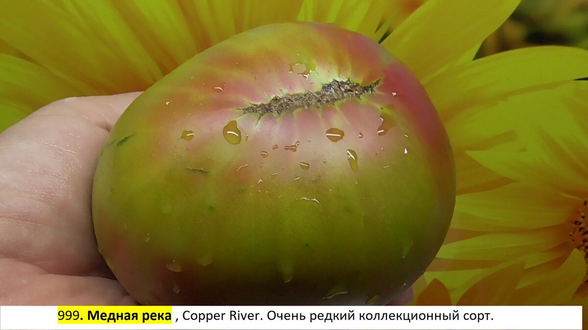 -130