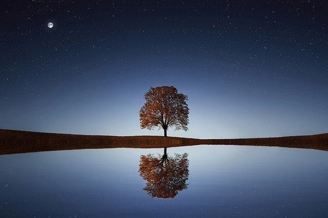 красота с pixabay.com