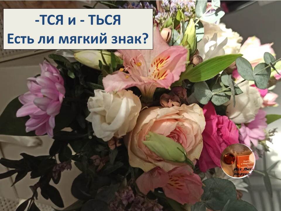 приветствую подписчиков и гостей канала! Фото автора