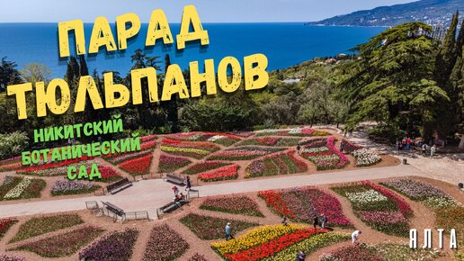 Нереальная красота и тюльпанная лихорадка. Никитский Ботанический Сад - Крымское чудо света