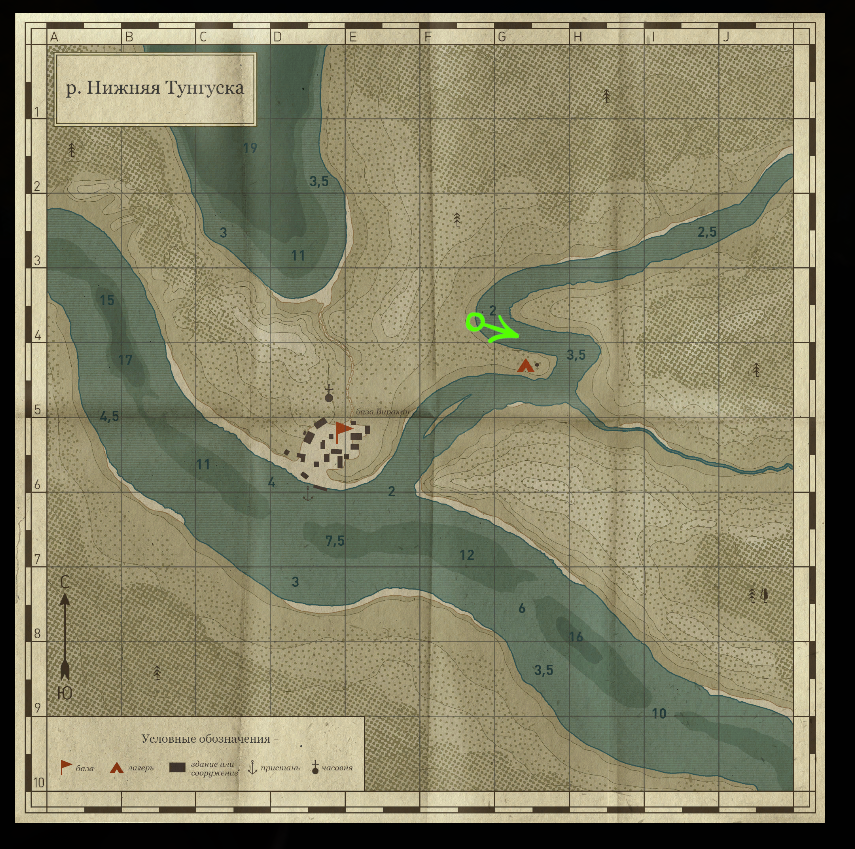 у поваленного дерева