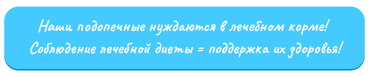 © ВСЕ ОТТЕНКИ КОШАЧЬЕГО  