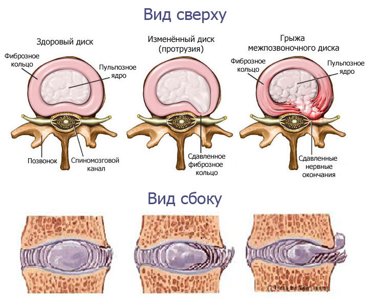 из общедоступных источников