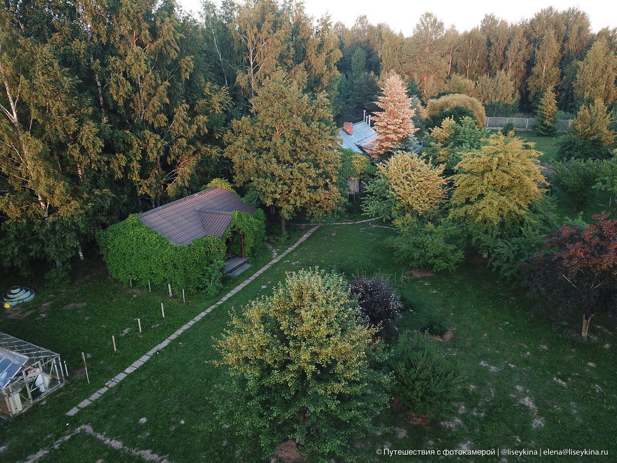 В целом, жить в лесу получилось. Птицы сжирают жимолость, по участку скачут зайцы.