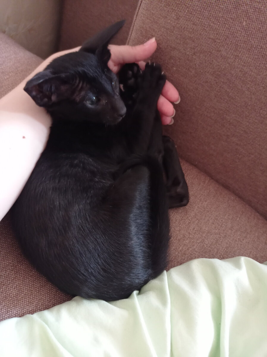 Первый день на новом месте :) 