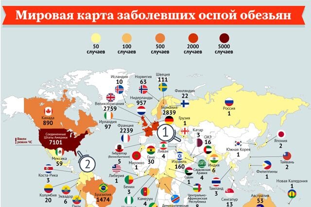    Распространение оспы обезьян в мире. Инфографика