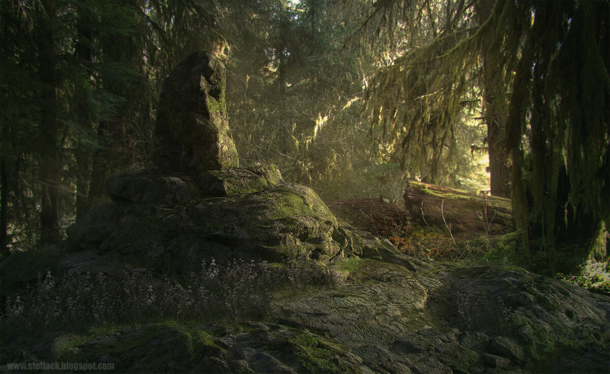 Разгадайте тайну алтаря путь в туманном лесу. Алтарь в лесу. Каменный круг в лесу. Лесной алтарь арт. Жертвенник в лесу.