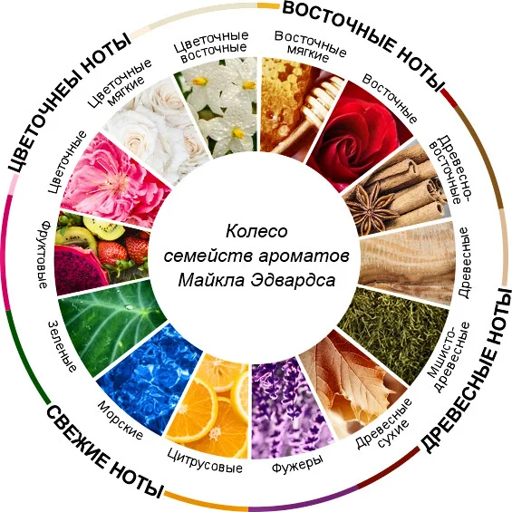 Колесо ароматов. Изображение: Парфюмер