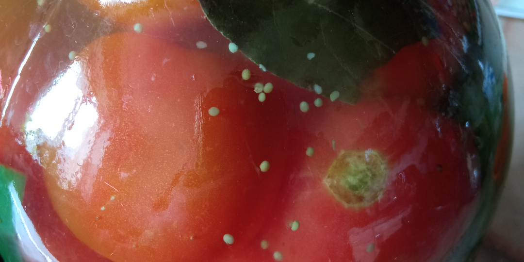 Ну очень вкусные маринованные помидоры без стерилизации на зиму. За рассолом выстраивается очередь, весь выпивают