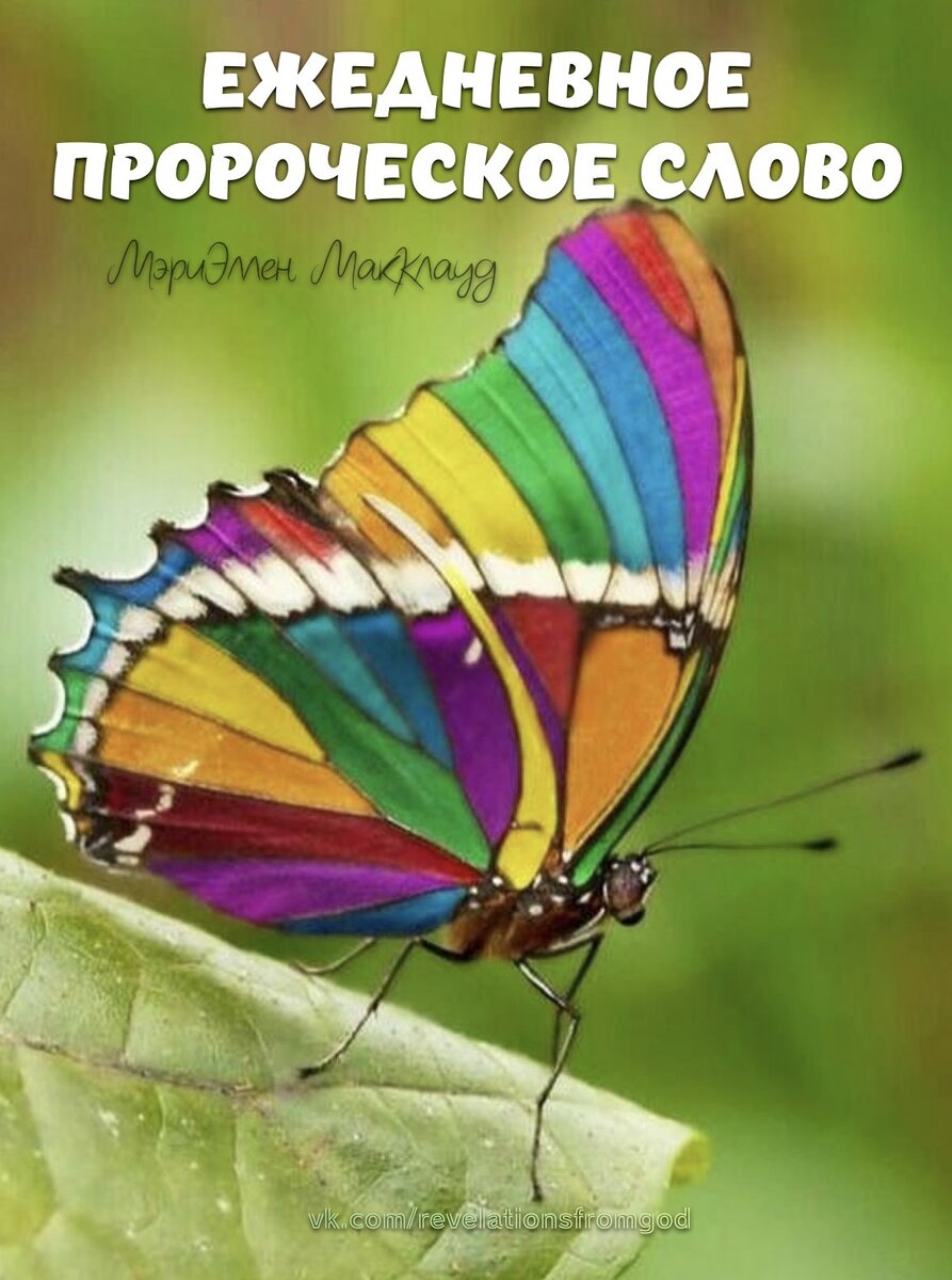 ЕЖЕДНЕВНОЕ ПРОРОЧЕСКОЕ СЛОВО (18 августа 2023 г.)
МэриЭллен МакКлауд