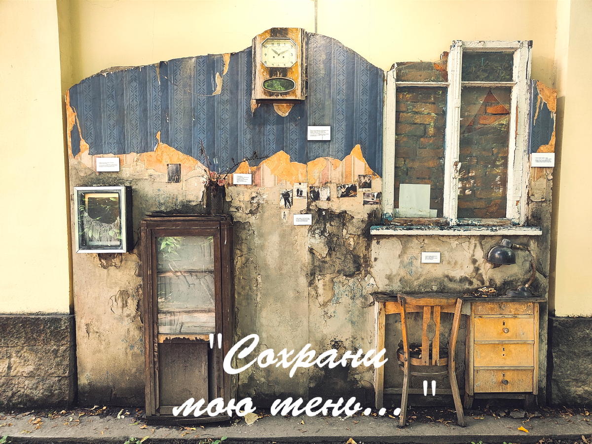 Все фото автора. 