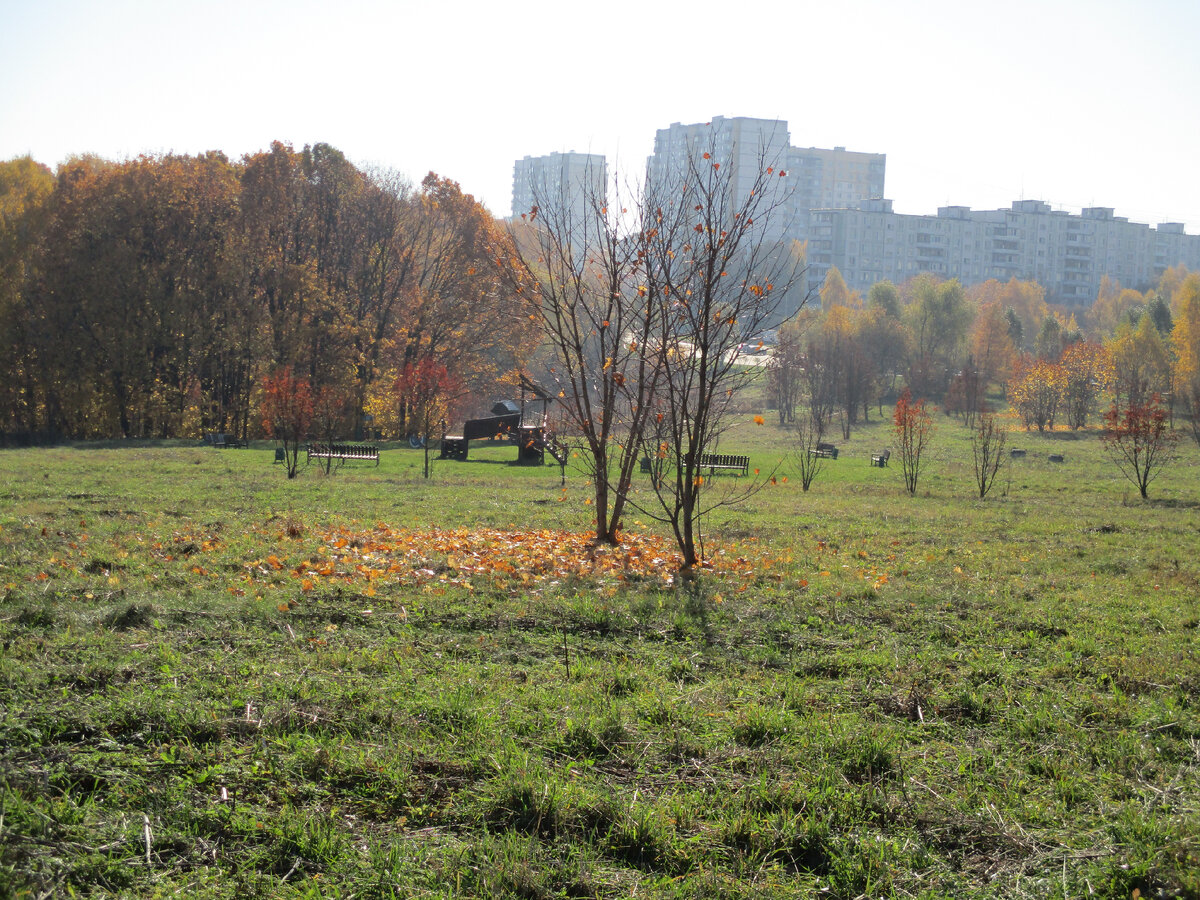 Поле граничит с Битцевским лесом, а через дорогу, Соловьиный проезд, уже начинается Ясенево, жилой район Юго-Западного округа Москвы.