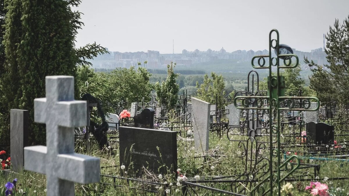 Смертность растет в Волгоградской области | НовостиВолгограда.ру | Дзен