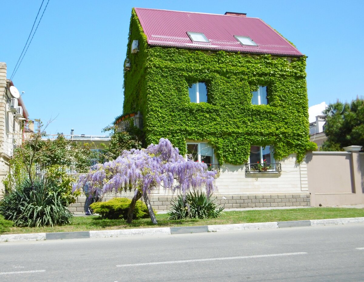 Анапа фото улиц и домов