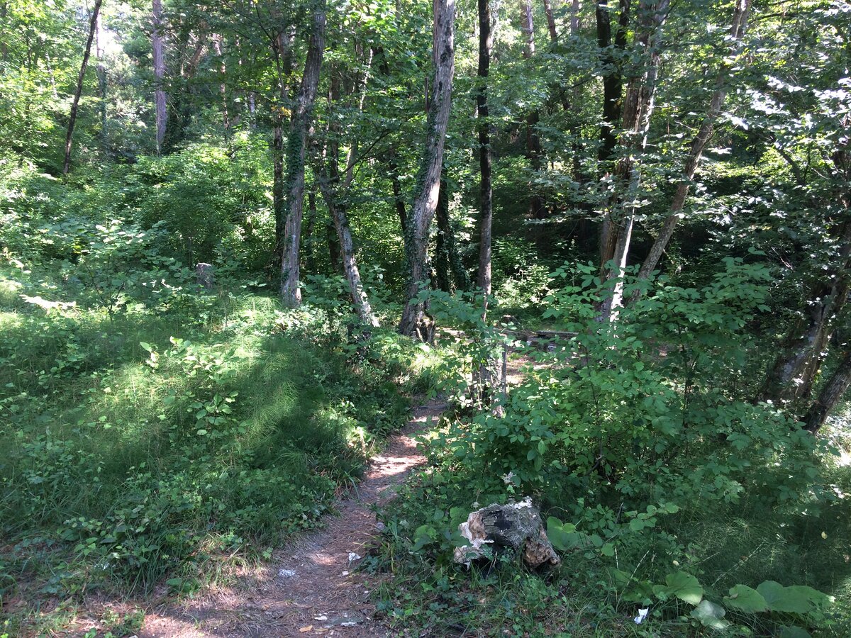 Вид на зеленый уголок с беседкой. Фото автора