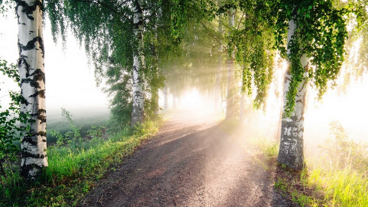 фото взято с просторов интернета. Благодарю автора за снимок.