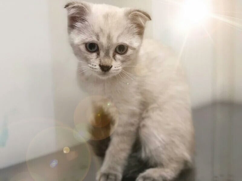 Фото: PP.USERAPI.COM