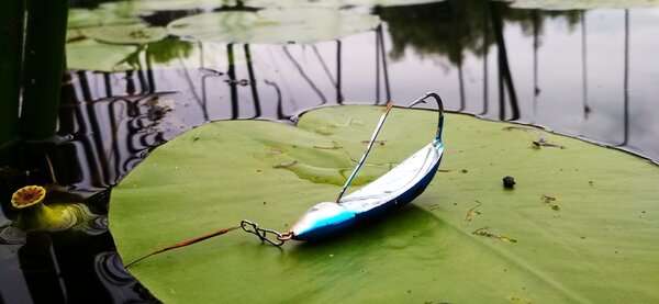 Rapala Minnow Spoon