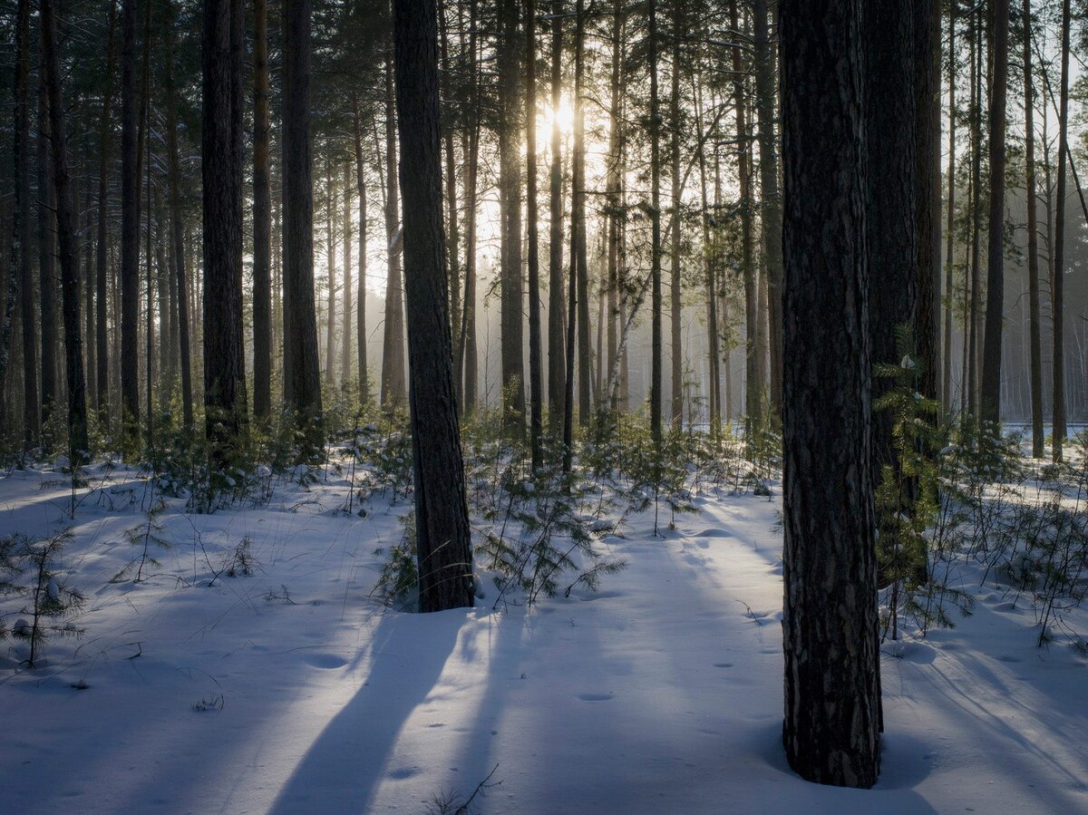 фото Закира Умарова