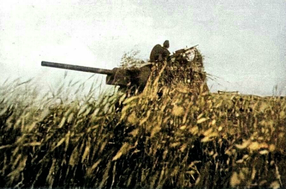 Танк «Маршал Чайболсан» в засаде в р-не г. Богодухов. Воронежский Фронт, 1943 год. Фотография использована в качестве иллюстрации.