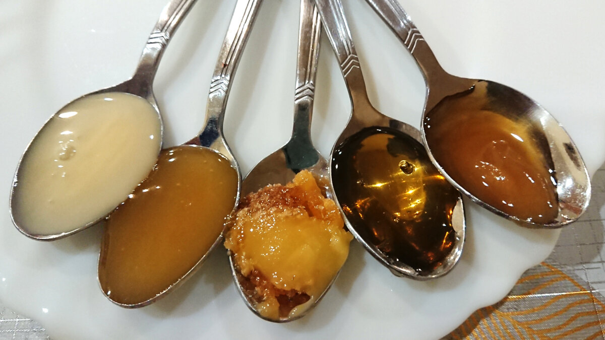 Расскажу о каждом в порядке слева-направо