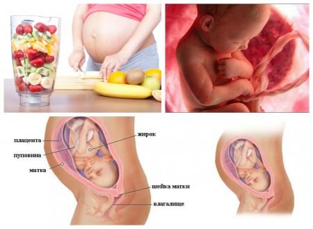 29,30,31,32 недели беременности: что происходит, развитие беременности и плода