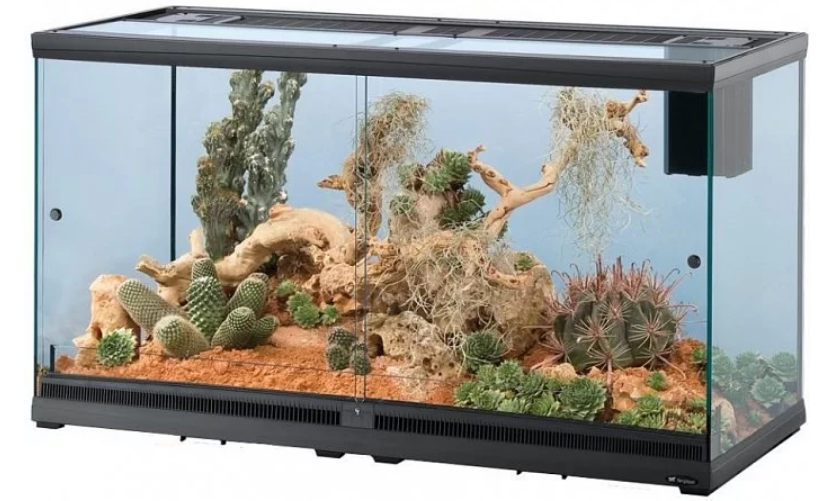 террариум марки Ferplast