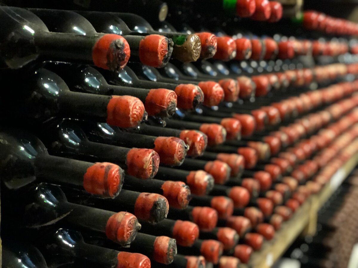 Винный погреб Дача Сердюка