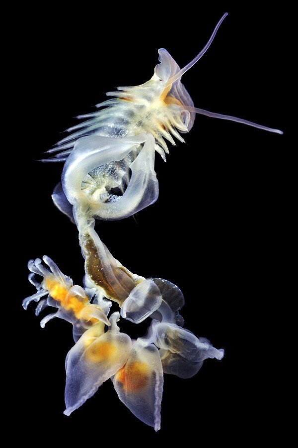 источник: Яндекс.Картинки