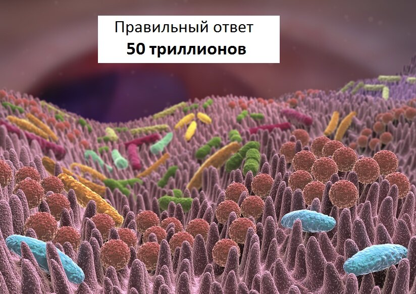 Фото: uqozow.volokno.ru.net